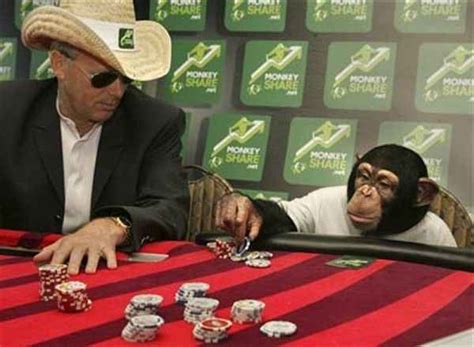 internet casino gambling online monkey