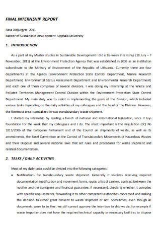 Internship Final Report Sample Graphic Design