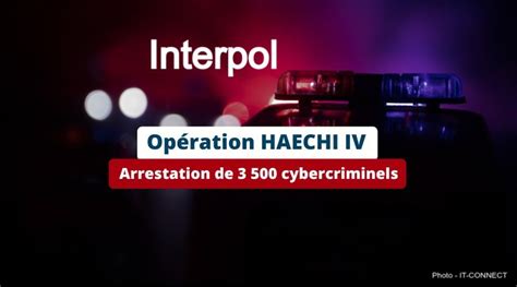 interpol werking succes