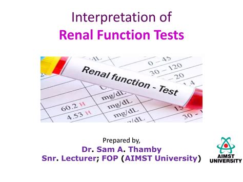 Interpretation Of Renal Function Tests And The Renal