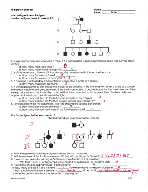 Interpreting A Human Pedigree