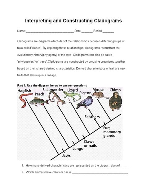 Interpreting And Constructing Cladograms