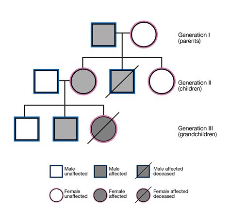 Interpreting Genetic Pedigrees An Analysis Of Inheritance Scribd Constructing A Pedigree Worksheet Answers - Constructing A Pedigree Worksheet Answers
