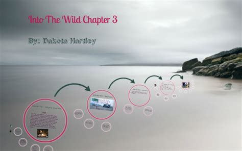 Into The Wild Chapter 3