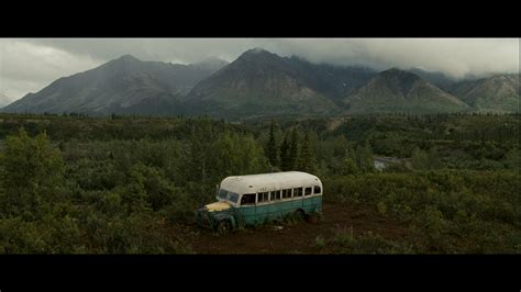 Into The Wild Setting