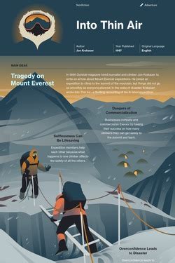 Into Thin Air Report