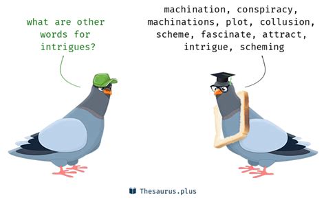 Intrigues Synonym