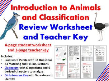 Intro To Animals And Classification Review Worksheet And Introduction To Animals Crossword Answer Key - Introduction To Animals Crossword Answer Key