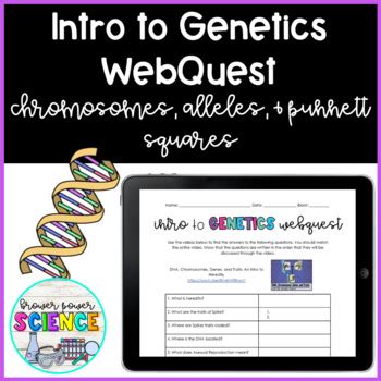 Intro To Genetics Webquest