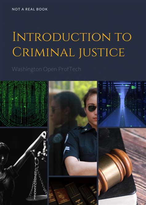Download Intro To Criminal Justice Mikes Slcc E Portfolio 