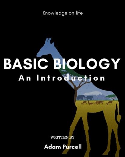 Introduction To Animals Basic Biology Introduction To Animals Worksheet Answer - Introduction To Animals Worksheet Answer