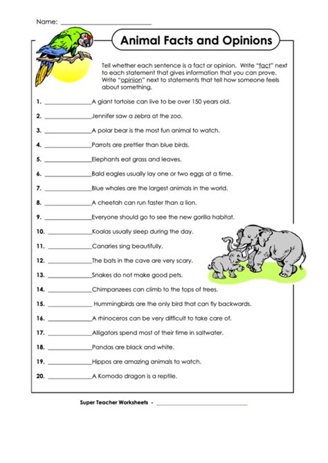 Introduction To Animals Worksheet Answer Introduction To Animals Worksheet Answer - Introduction To Animals Worksheet Answer