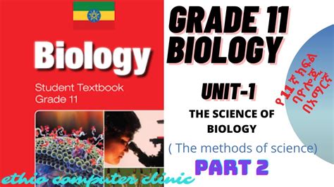 Introduction To Biology Video Tutorials Amp Practice Problems Introduction To Biology Worksheet - Introduction To Biology Worksheet