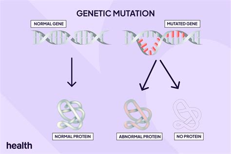 Introduction To Genetic Mutation