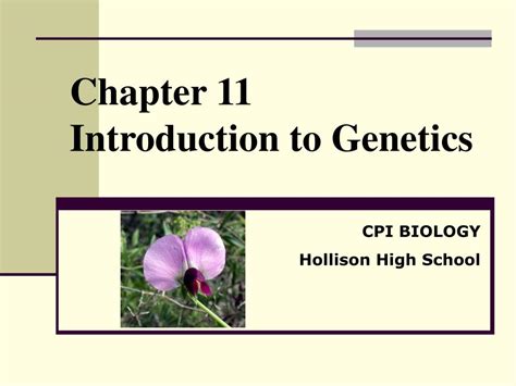 introduction to genetics chapter 11 answer key