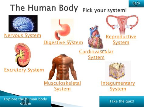 Introduction To Human Body Systems Health And Medicine Science Body Part - Science Body Part