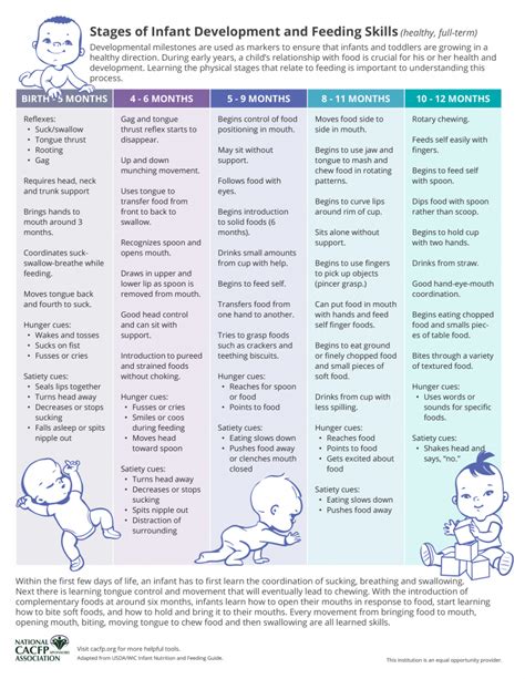 Introduction To Infant Development