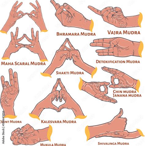 Introduction To Mudras