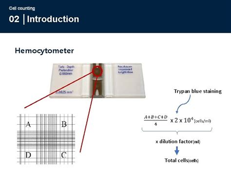 Download Introduction To Counting Cells How To Use A Hemacytometer 