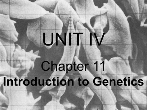 Download Introduction To Genetics Test Chapter 11 