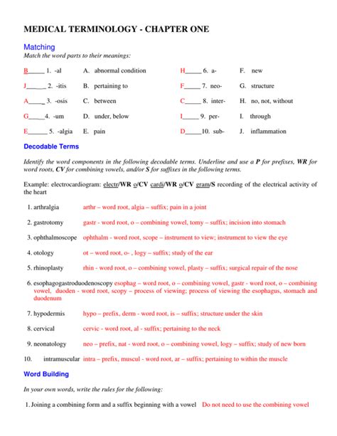 Full Download Introduction To Language Exercise Answers Cmbchinaore 