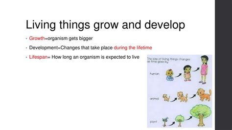 Download Introduction To Living Things Chapter Review Answers 