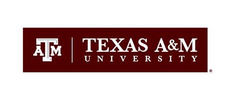 Download Introduction To Matlab Texas A M University 