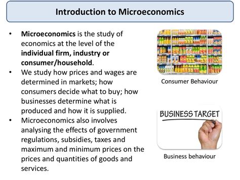Read Online Introduction To Microeconomics 