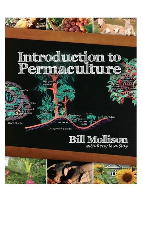 Download Introduction To Permaculture 