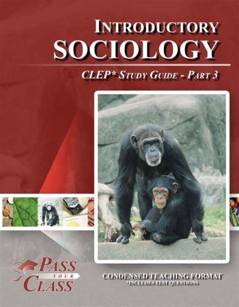 Read Online Introductory Sociology Study Guide 