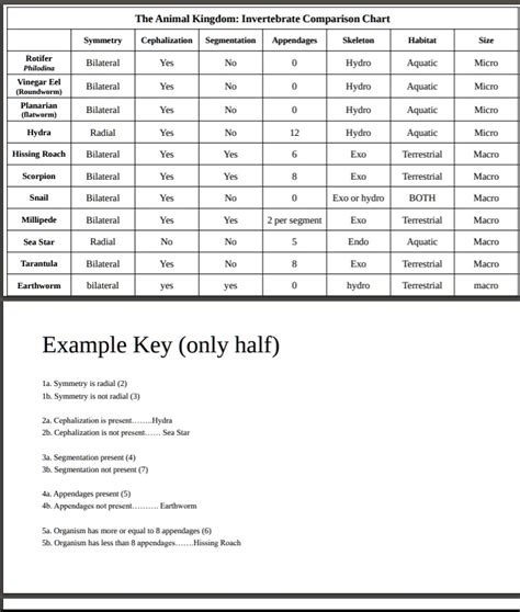 Invertebrate Comparison Chart Answer Key