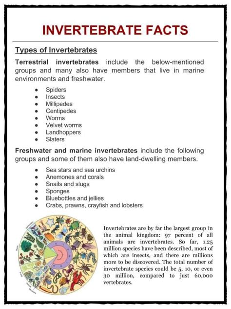 Invertebrate Facts Amp Worksheets Types Anatomy Species Table 3 Invertebrate Worksheet - Table 3 Invertebrate Worksheet