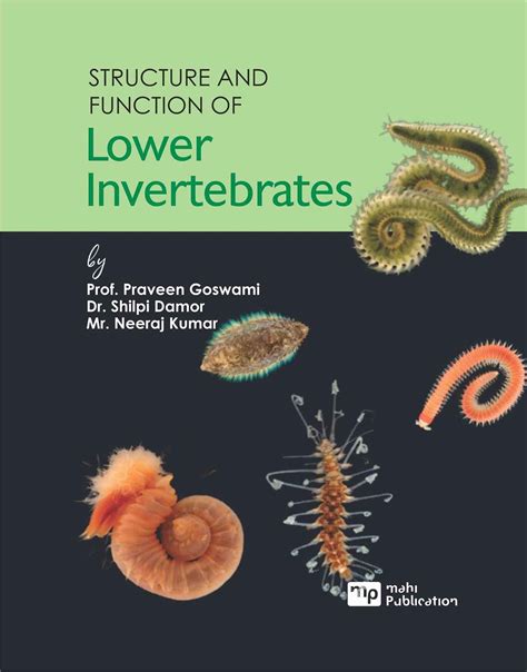 Invertebrates Chapter Review