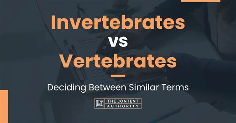 Invertebrates Vs Vertebrates Deciding Between Similar Terms Comparing Vertebrates And Invertebrates - Comparing Vertebrates And Invertebrates