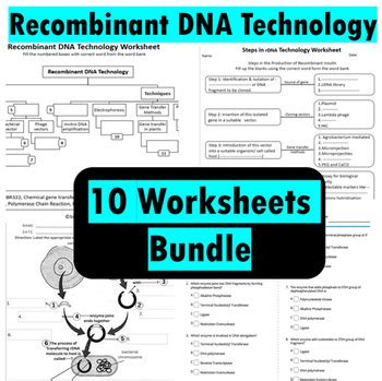 Read Investigate Biolab Modeling Recombinant Dna Answer Key 