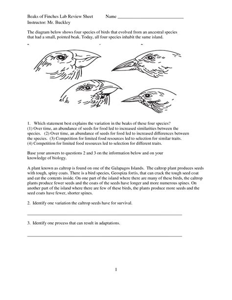 Read Investigating Bird Beak Adaptations Lab Activity Answers 