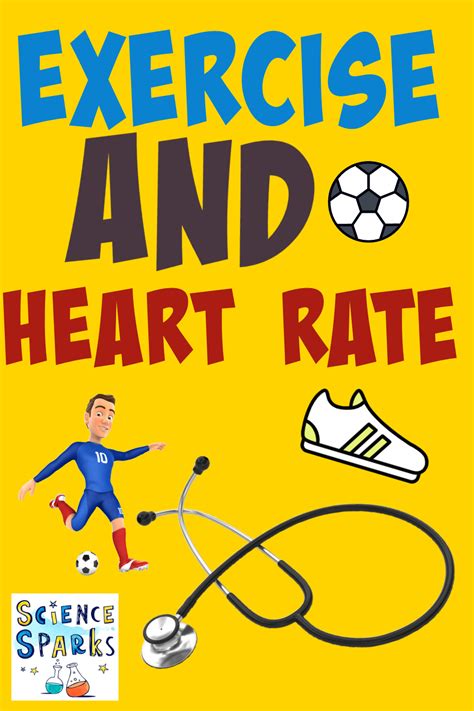 Investigation How Does Exercise Affect Heart Rate Heart Rate Science Experiment - Heart Rate Science Experiment