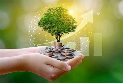 Read Online Investing For Change Profit From Responsible Investment 