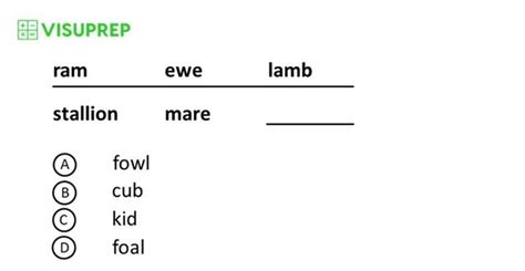 Inview 2nd Grade Test Practice