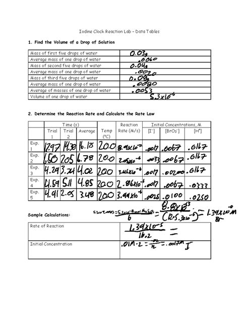 Download Iodine Clock Experiment Lab Report 