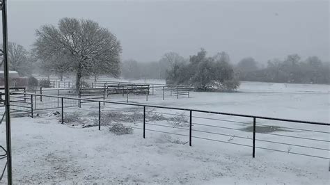 iola texas