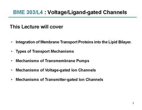 Ion Transport Bme