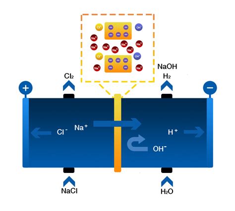 Read Ion Exchange Membranes For Electro Membrane Processes 