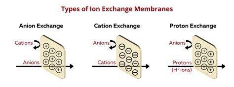 Read Ion Exchange Membranes For Electro Membrane Processes 