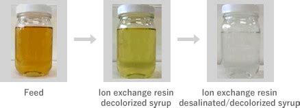 Full Download Ion Exchange Resins For Cane Sugar Decolorization 