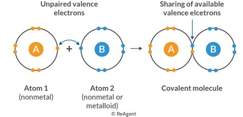 Ionic And Covalent Bonding