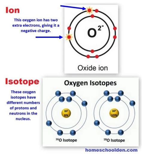 Ions And Isotopes Chemistry Unit Homeschool Den Atoms Vs Ions Worksheet Answers - Atoms Vs Ions Worksheet Answers