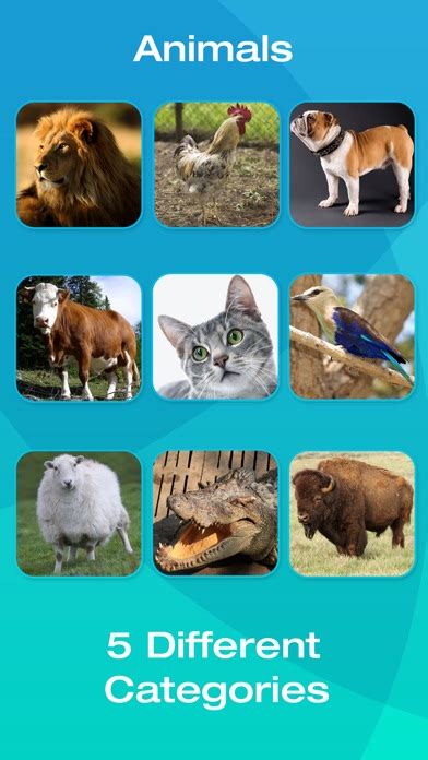 Ios App Review Animals Babies And Homes Animal Babies And Their Homes - Animal Babies And Their Homes