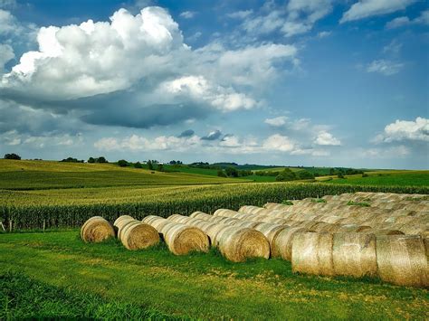 iowa landscape