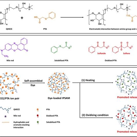 work photo by Krista Hills